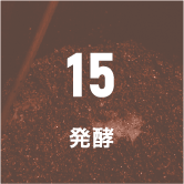 15 発酵