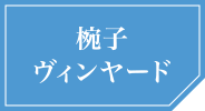 椀子ヴィンヤード