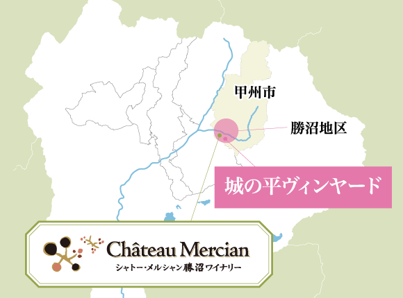 山梨県 城の平ヴィンヤード