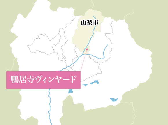 山梨県 鴨居寺ヴィンヤード