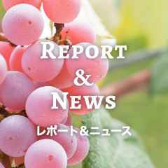 Report ＆ News レポート＆ニュース
