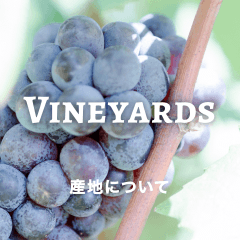 Vineyards 産地について