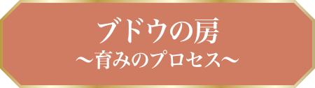 ブドウの房〜育みのプロセス〜